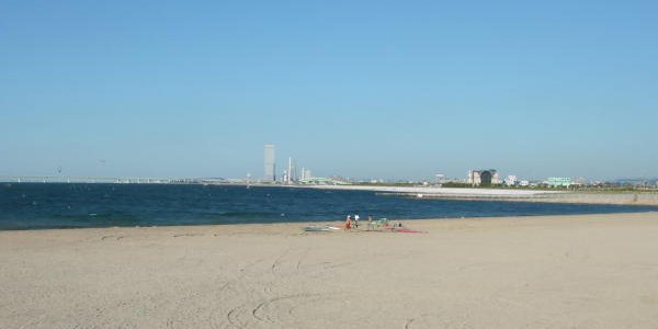 sazan01